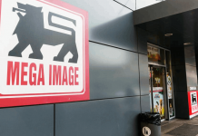 Mega Image Jobs in Romania: Store and Warehouse Opportunities