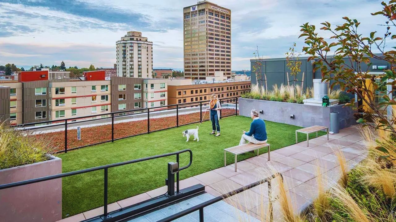 Looking for a Pet-Friendly Rental? Check Available Options