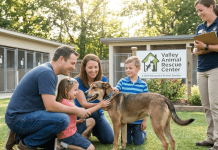 Find Adoptable Dogs Near You – Check Available Pets